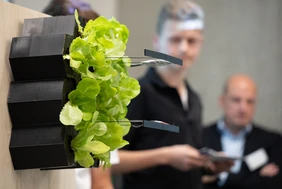 Innovative garden idea: the team from Erlangen impressed the jury with this project last year (Photo: THI).